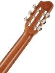 Godin Collection