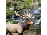 Safari Ltd. Safari Ltd. Figurka - Wapiti