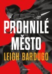 Prohnilé město (brož.)