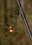 Chytil Rozpustné Boilies 120g 16mm 2S - Scopex Squid (ROZBZO/2S16)