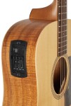 Taylor Academy 10e LTD