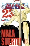 Bleach 23: Kubo