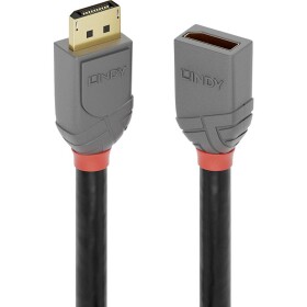 LINDY DisplayPort prodlužovací kabel Konektor DisplayPort, DisplayPort zásuvka 3.00 m antracitová, černá, červená 36498 pozlacené kontakty Kabel DisplayPort