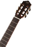 Tanglewood EM D3