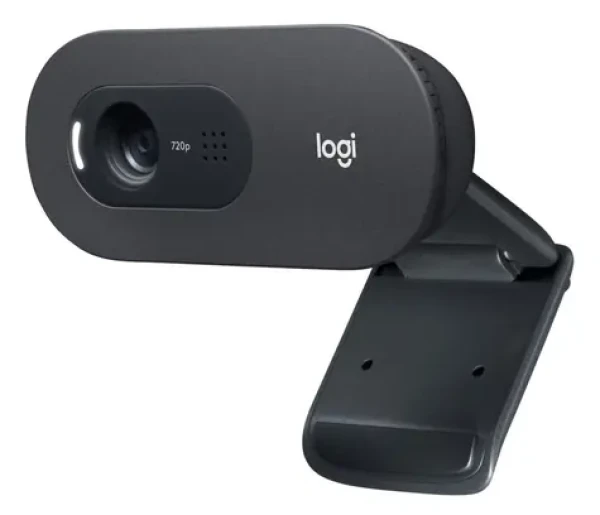 Logitech C505e / Webkamera / HD 720p / 30 fps / Mikrofon / USB-A (960001372)
