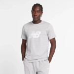 Tričko New Balance S/S Sport Graphic V Flying M MT43906AG pánské S