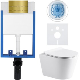 CERANO Kompletní WC set Profi/Carlito - bílá lesklá - WC tlačítko Line/Zlatá - pro zazdění - 48,5x36,5 cm