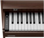 DONNER Oura R300 Walnut