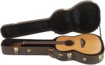 Takamine P3NY