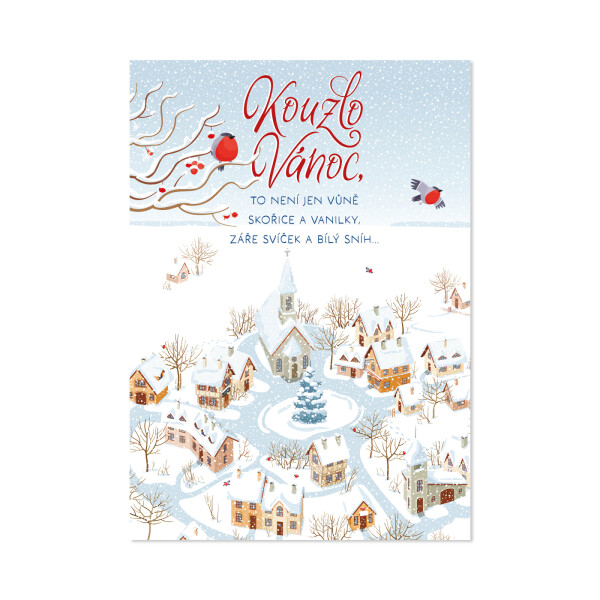 Vánoční hrací přání - Zasněžené náměstí - Albi