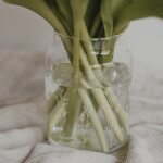 Eulenschnitt Skleněná váza Floral Clear 14 cm, čirá barva, sklo