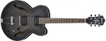 Ibanez AF55 Transparent Black Flat