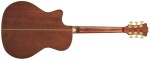 D'Angelico Gramercy Grand Auditorium CE Autumn Burst