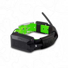 Obojek pro dalšího psa DOG GPS X30 - zelený
