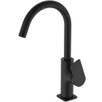 IDEAL STANDARD - Ceralife C Umyvadlová baterie s otočným výtokem a výpustí Click-Clack, hedvábná černá BE054XG