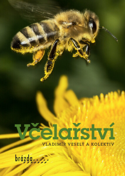 Včelařství - kolektiv autorů