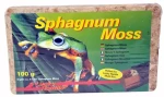 Lucky Reptile Sphagnum Moos rašeliník 100 g