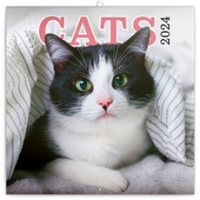 Kalendář 2024 poznámkový: Kočky, 30 × 30 cm