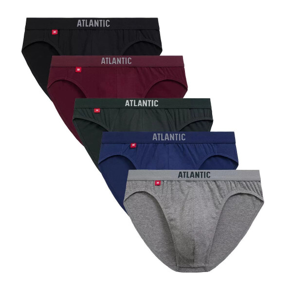 Pánské slipy 5 pack 004/2 - Atlantic vícebarevná S