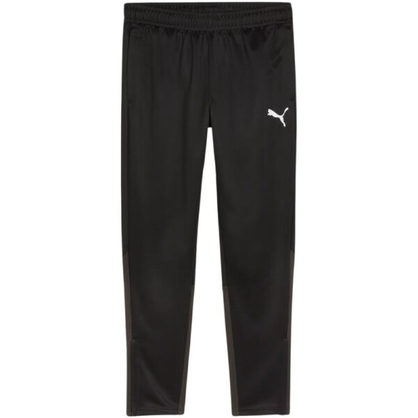 Puma Team Goal Training kalhoty M 658639 03 s