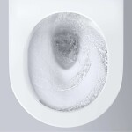 GROHE - Euro Ceramic Závěsné WC se sedátkem Softclose, Rimless, Triple Vortex, alpská bílá 102510SH00