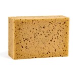 Houba mořská jemná, 160 x 110 x 60 mm