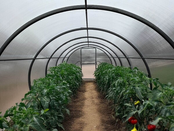 Obloukový polykarbonátový skleník Dodo 300 3×4 m PC 8 mm černý