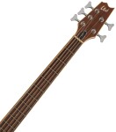 ESP LTD TL-5 NAT