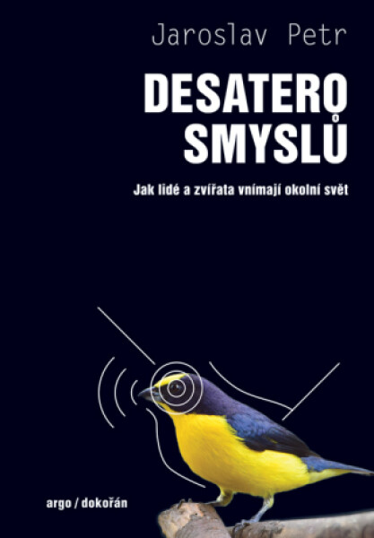 Desatero smyslů - Jaroslav Petr - e-kniha