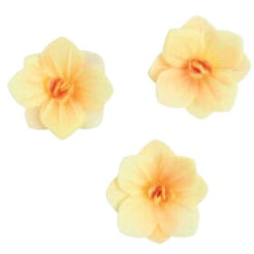 Dekorace oplatková - Hortenzie medová 3 ks