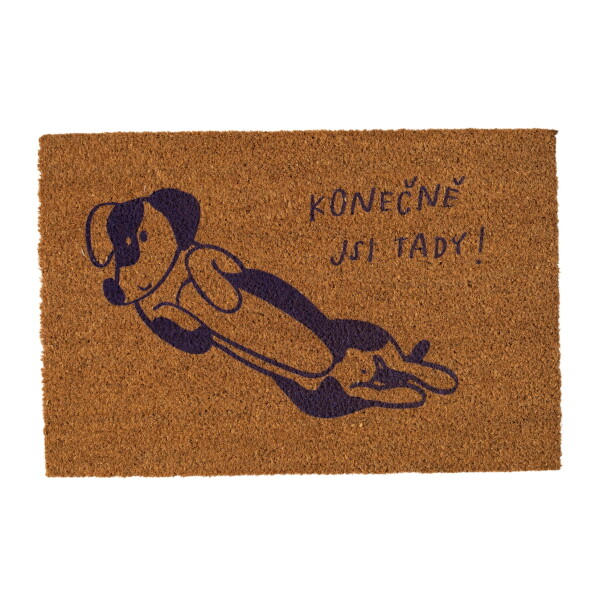 Bella Rose Rohožka z kokosových vláken Konečně jsi tady!, přírodní barva