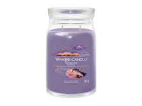 YANKEE CANDLE Stargazing 567g (Signature