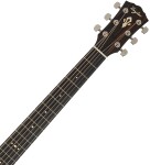 Taylor Gold Label 717e