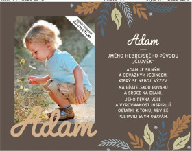 16_Fotorámeček se jménem_Adam - Albi
