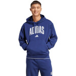 Mikina adidas Collegiate Hoodie M KC3874 pánské m