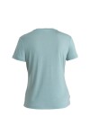 ICEBREAKER Wmns Merino Core SS Tee Plume, Cloud Ray velikost: XS