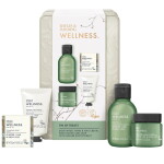 Baylis & Harding Dárková sada kosmetiky v boxu Wellness, zelená barva, kov, plast