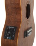 Tanglewood TWT 3 E