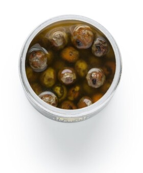 Mivardi Nakládaný tygří ořech Tiger nut coloured 250ml - Scopex / Vanilka,Mivardi Nakládaný tygří ořech Tiger nut coloured 250ml - Scopex / Vanilka