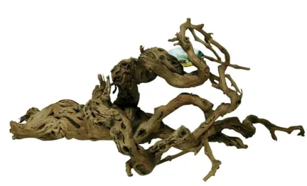 Lucky Reptile Grapevine Premium 60-100 cm (FP-64183)