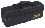 Bacio Instruments ECL-100