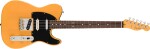 Fender American Professional Classic Telecaster SSS RW Butterscotch Bl