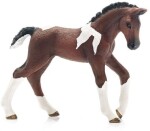 Schleich Horse Club 13758 Hříbě trakénského koně