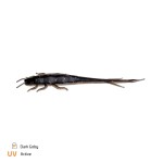 Zeck Gumová nástraha BA Shaky Sneaker 6cm 11ks - Dark Goby,Zeck Gumová nástraha BA Shaky Sneaker 6cm 11ks - Dark Goby