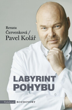 Labyrint pohybu, 1. vydání - Pavel Kolář