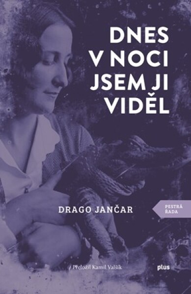 Dnes v noci jsem ji viděl | Kamil Valšík, Drago Jančar