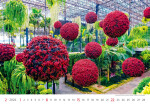 Nástěnný kalendář 2026 Helma - Gardens, 45 x 31,5 cm