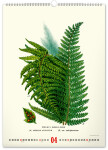 Nástěnný kalendář 2026 NOTIQUE - Vintage plakáty – herbář, 33 x 46 cm