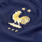 Pánské fotbalové tričko FFF Dri-FIT M DN0690 410 - Nike S