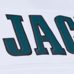 Mitchell & Ness Pánský dres Philadelphia Eagles NFL DeSean Jackson #10 2009 Legacy Throwback Velikost: M